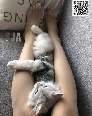 古赖玲_1080P迅雷高清下载